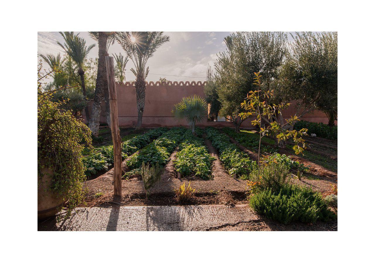 Villa 55 Marrakech Marrakesh Exterior foto